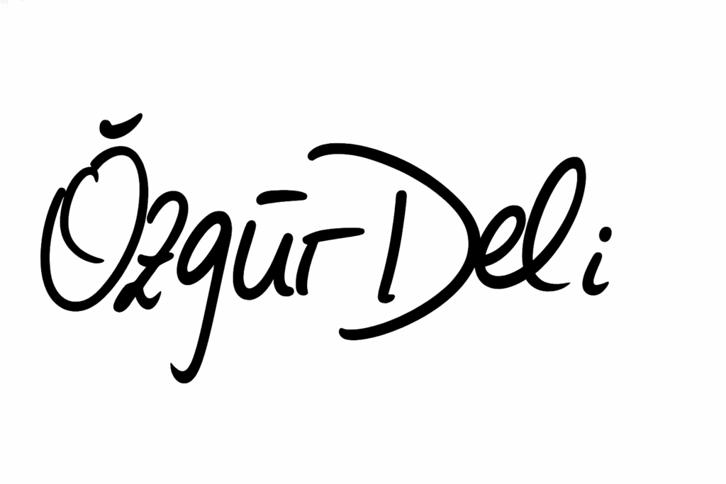 WeDev-IT - Geschäftsführer Özgür Deli